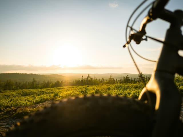 Sturtevants Bike Rentals