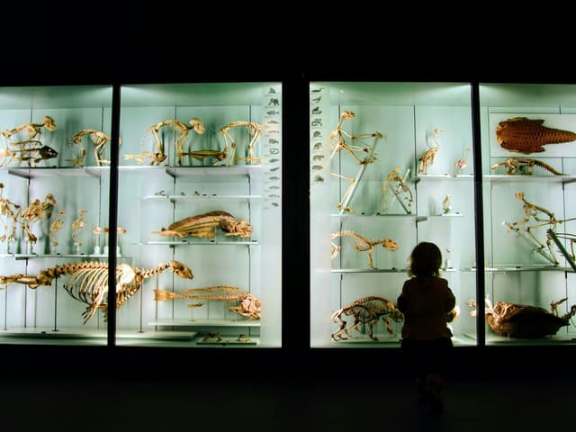 Children's Museum of Idaho