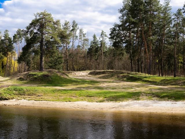 River Birch Golf Course
