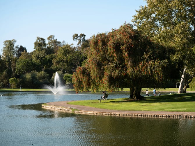 Quinn's Pond