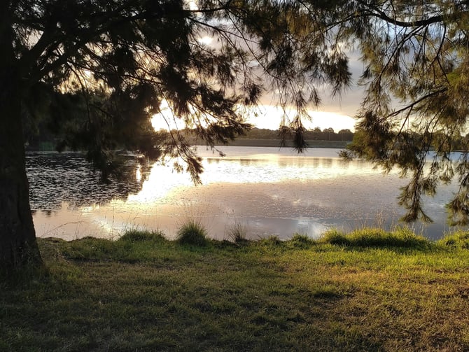 Quinn's Pond