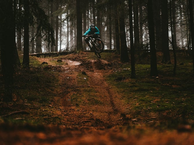 Mountain and Road Biking
