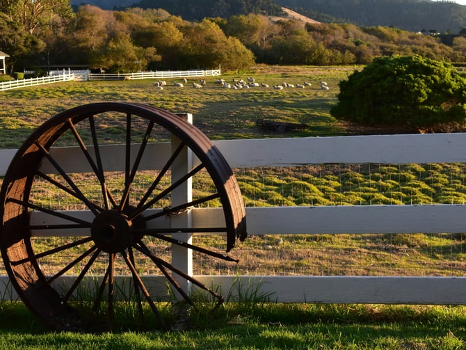 California National Historic Trail