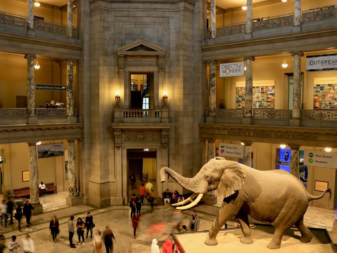Idaho State Museum