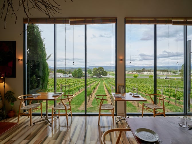 Boise Urban Wine Trail
