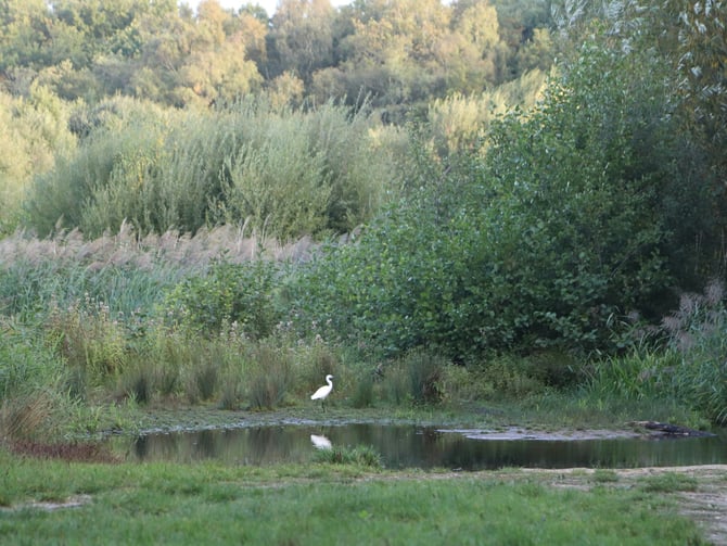 Manitou Park