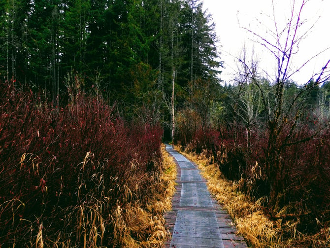Trail of the Coeur d'Alenes