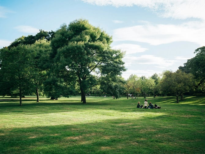 Elm Grove Park