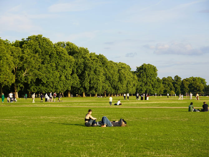 Ann Morrison Park