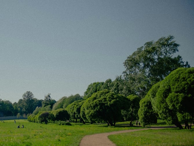 Pine Grove Park Dog Off-Leash Area