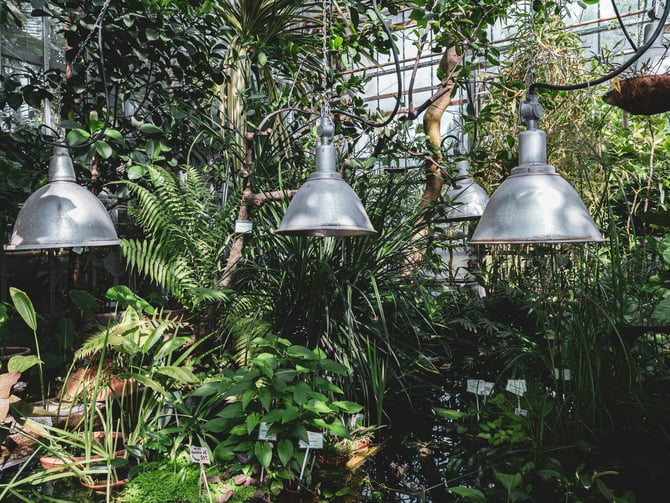 Idaho Botanical Garden