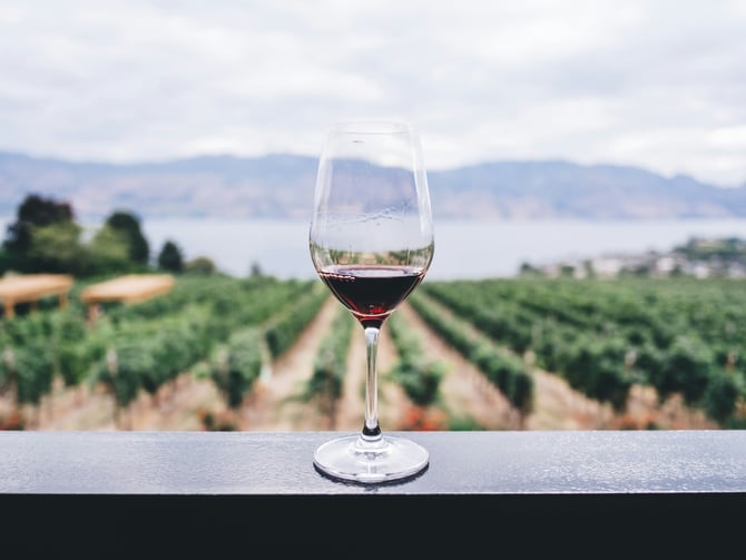 Winery Seekers Wine Tours