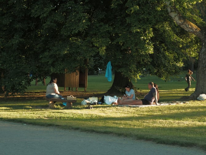 Catalpa Park