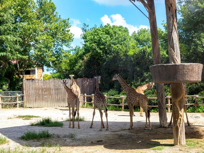 Zoo Boise