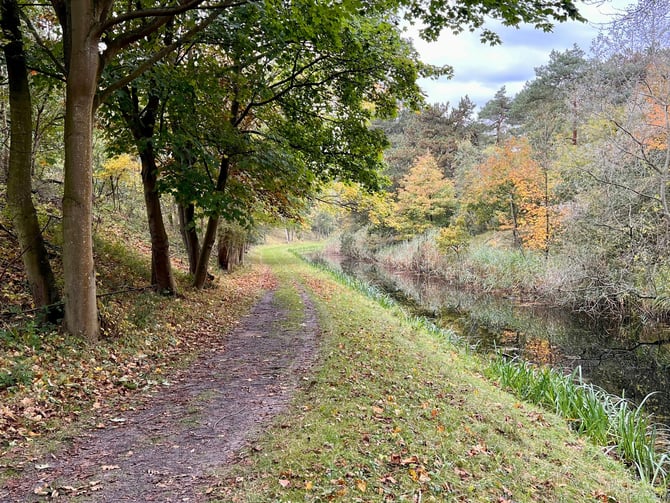 Williams Park