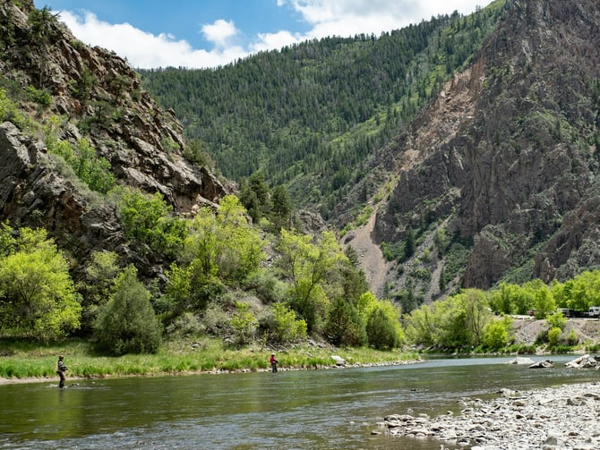Fly Fishing