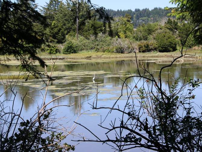 Reid Merrill Park