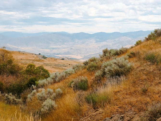Tram Trail