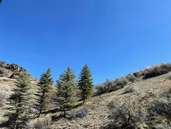 Lower Hulls Gulch