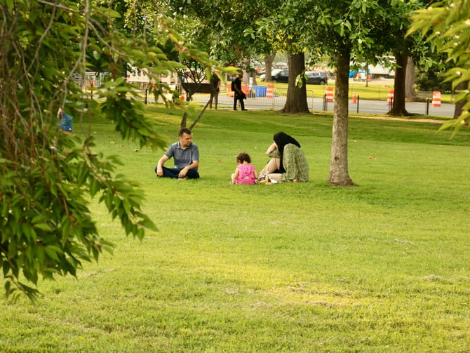 Molenaar Park