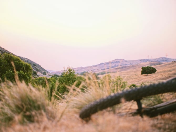 Simplot Sports Complex Off-Leash Area